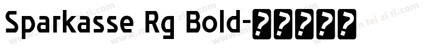 Sparkasse Rg Bold字体转换